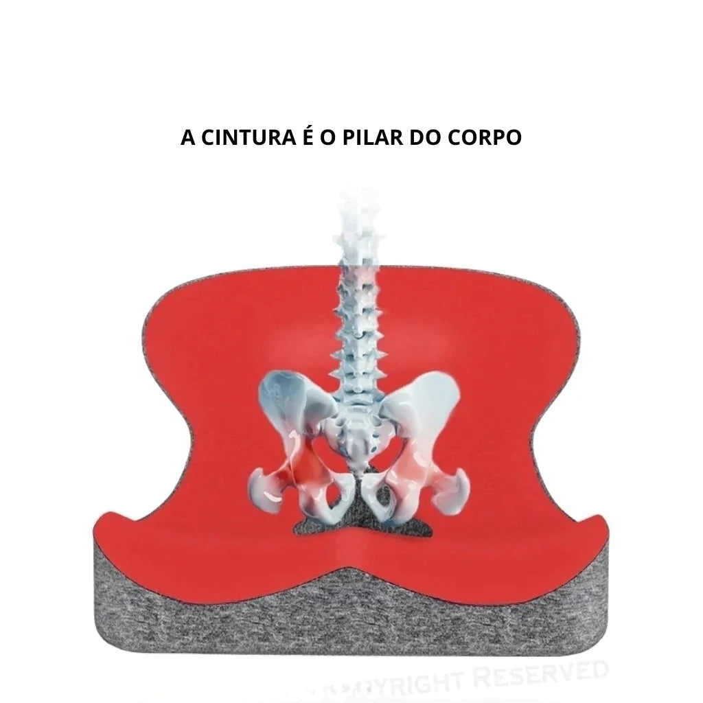 Almofada De Assento Ortopédico Com Espuma De Memória Casa (Almofadas de assento 1) Dm Stores 