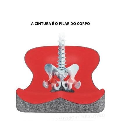 Almofada De Assento Ortopédico Com Espuma De Memória Casa (Almofadas de assento 1) Dm Stores 