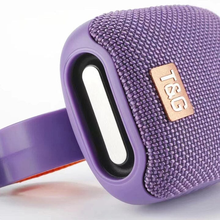 Caixa de Som com Suporte T&G | Bluetooth e FM Eletrônicos (Caixa de som 1) Dashui 