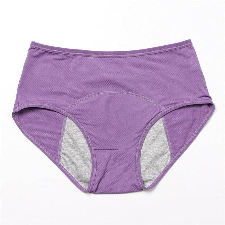 Calcinha Absorvente - DryComfy (COMPRE 1 LEVE 3) Roupas (Calcinha Absorvente 1) Dashui 