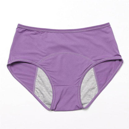 Calcinha Absorvente - DryComfy (COMPRE 1 LEVE 3) Roupas (Calcinha Absorvente 1) Dashui 